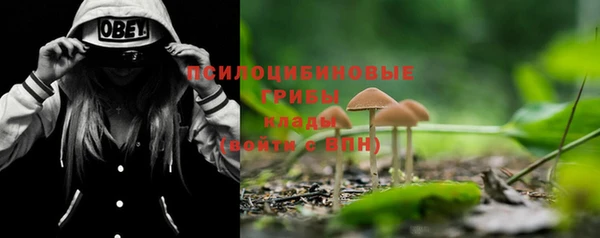 мяу мяу кристалл Бугульма