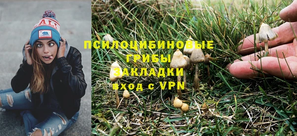наркотики Бородино