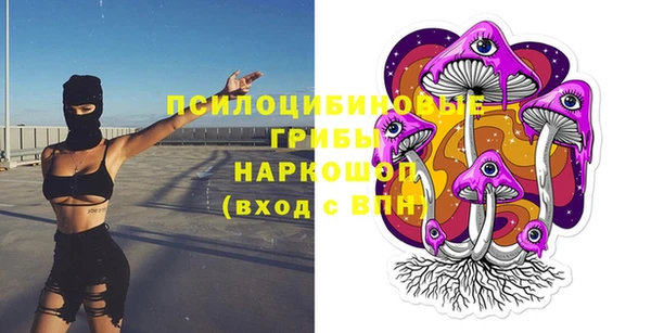 наркотики Бородино